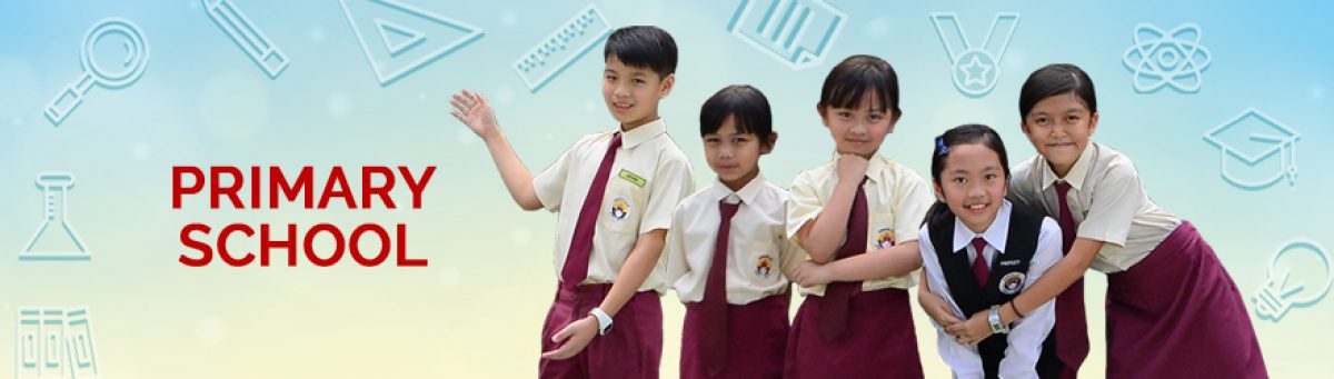 banner-primary2 banner-primary2