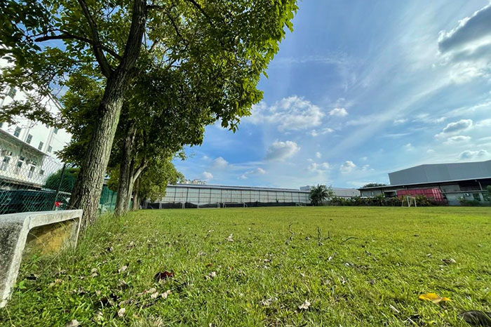 Football Field Football Field